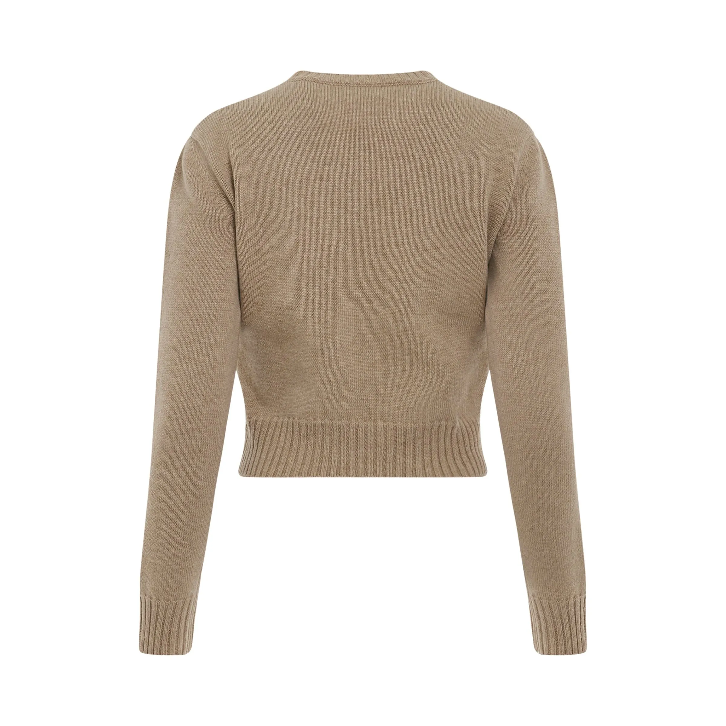 Anagram Cropped Wool Sweater in Camel