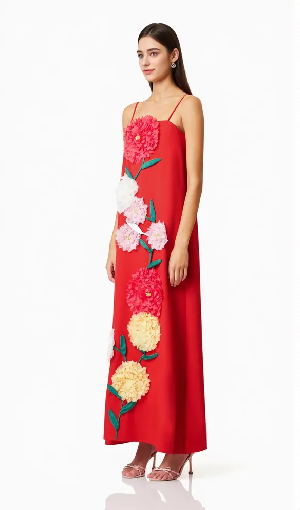 judy Buttercup Embroidered Maxi Dress In Red